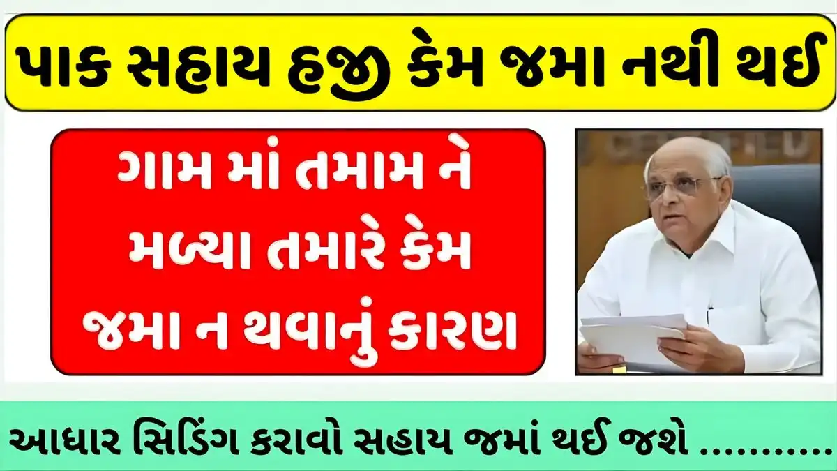 Pak Nuksan Sahay Gujarat 2026